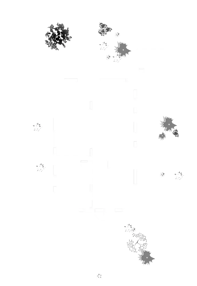 Планировка участка для домовладения №1